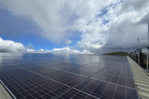 zonnepanelen broer creil